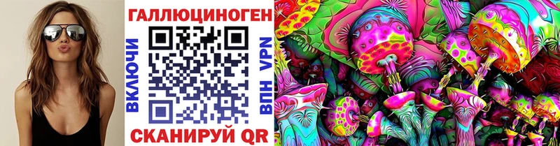 закладка  Балашиха  Псилоцибиновые грибы Magic Shrooms 